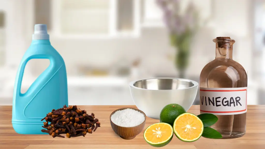 Homemade Orange Air Freshener