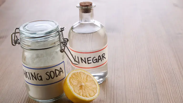 natural air freshener