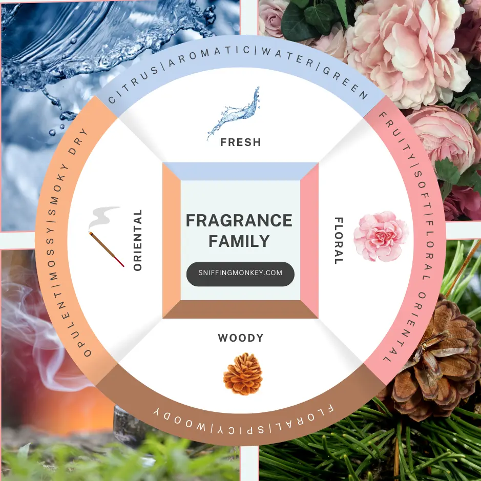 Fragrance wheel illustrating the main fragrance families and their categories, including Fresh, Floral, Oriental, and Woody.