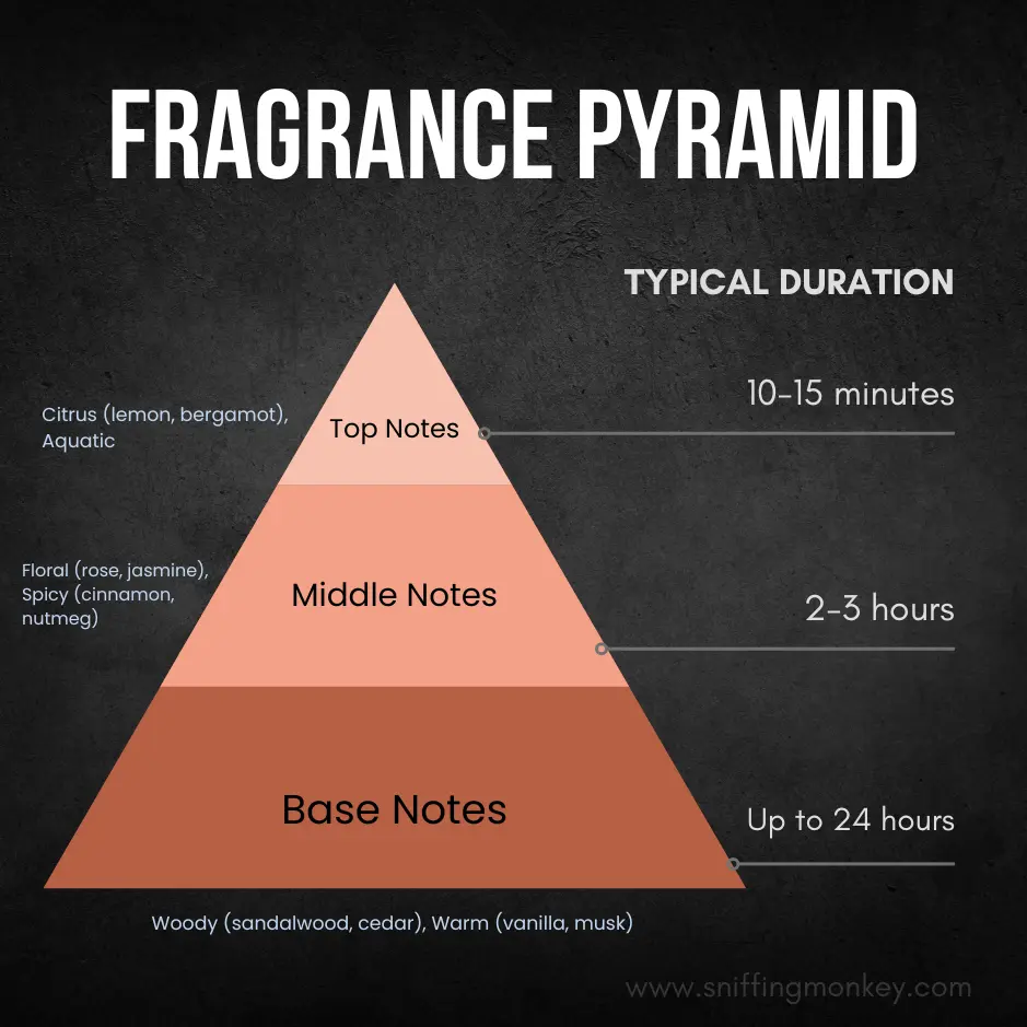 Fragrance Notes Pyramid illustrating the three layers of a perfume: Top Notes, Middle (Heart) Notes, and Base Notes. 